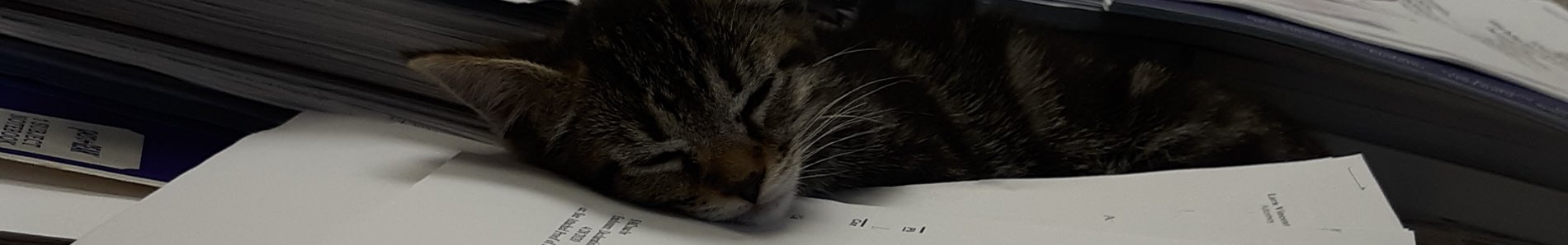 header-image